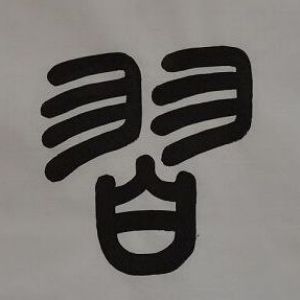 習姓圖騰_習氏圖騰