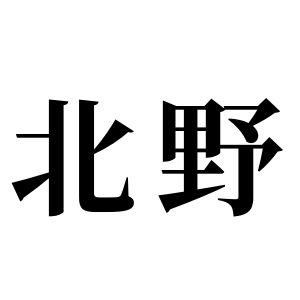 北野姓圖騰_北野氏圖騰